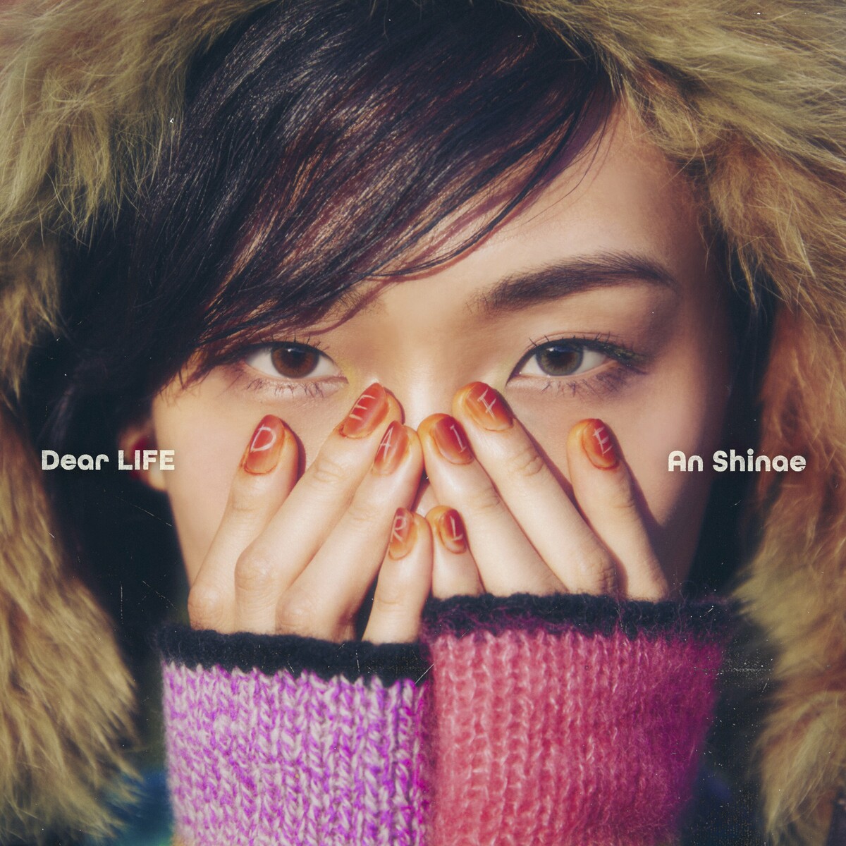 Image Cover